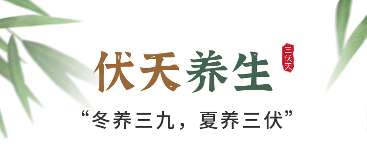 冬養(yǎng)三九 夏養(yǎng)三伏——督脈灸