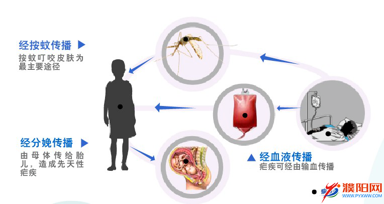 預防瘧疾指南
